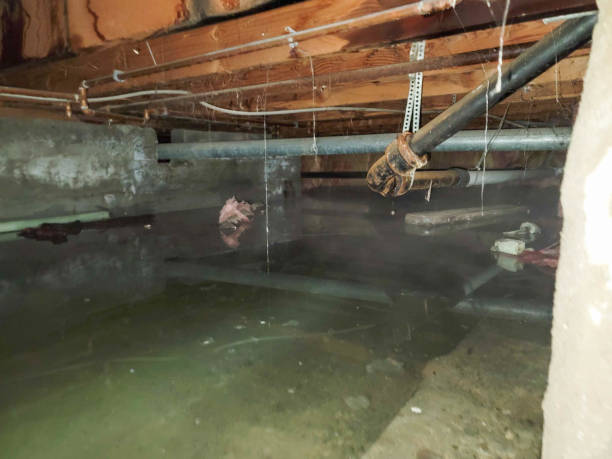 Best Residential water damage restoration  in Lebanon, NH