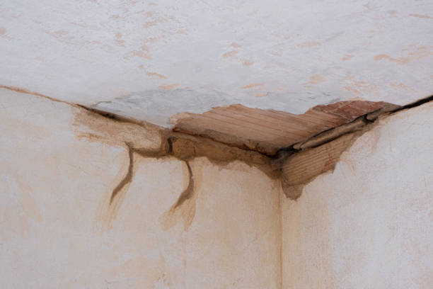 Best Ceiling water damage repair  in Lebanon, NH