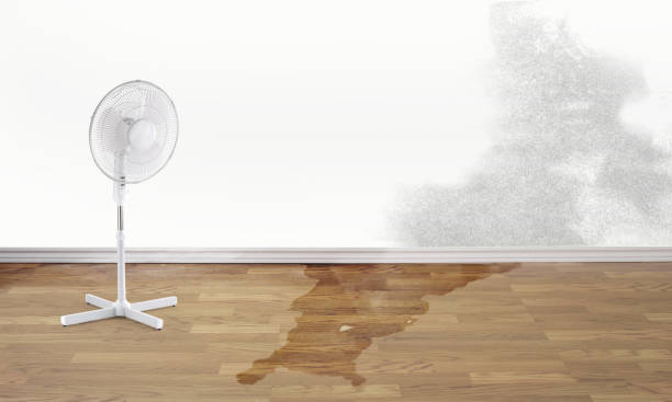 Best Professional water damage repair  in Lebanon, NH