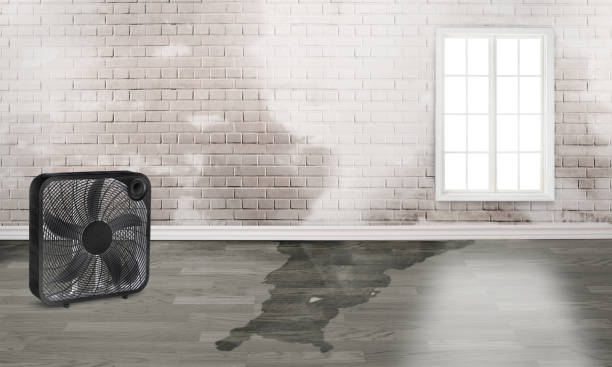 Water damage restoration experts in NH